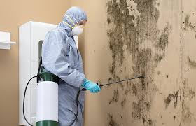 Mold Prevention & Removal